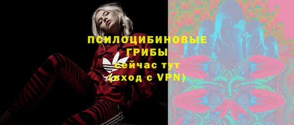 дживик Алексин