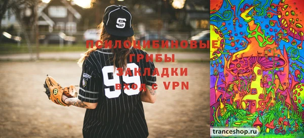PSILOCYBIN Алексеевка